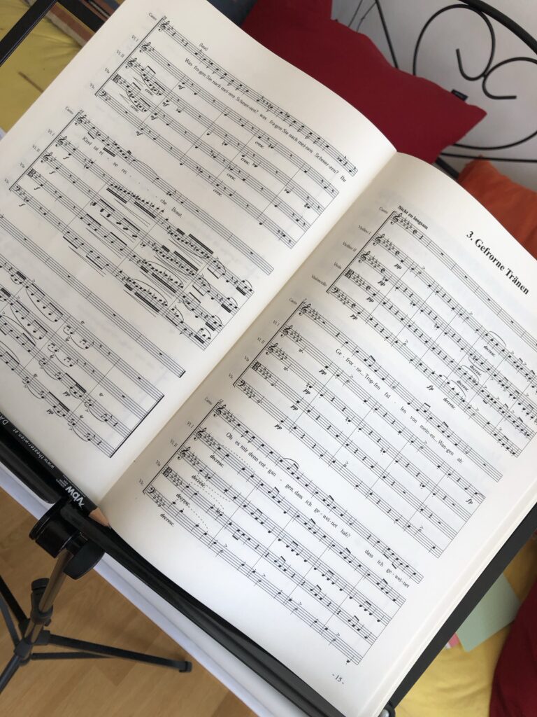 Ein Foto von Noten aus Schuberts Winterreise. 