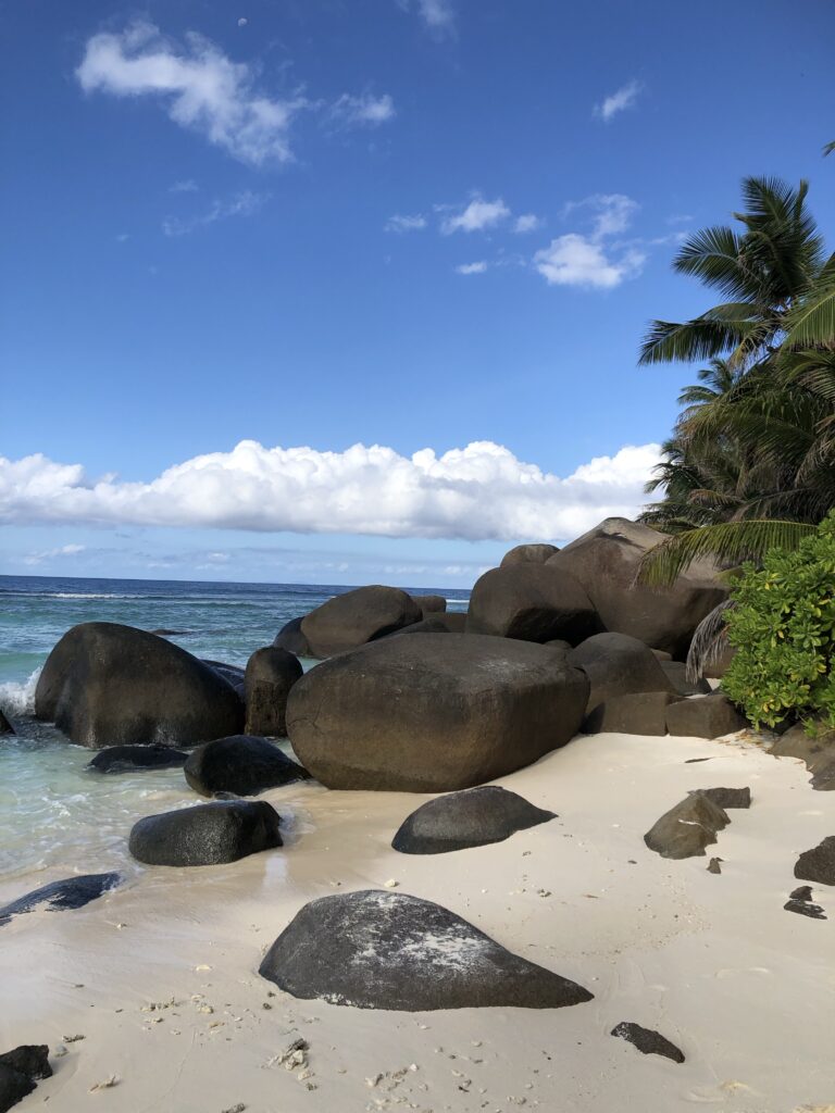 Sandstrand mit großen Steinen mit Blick aufs Meer. Rechts im Bild sind noch Palmen zu sehen. 