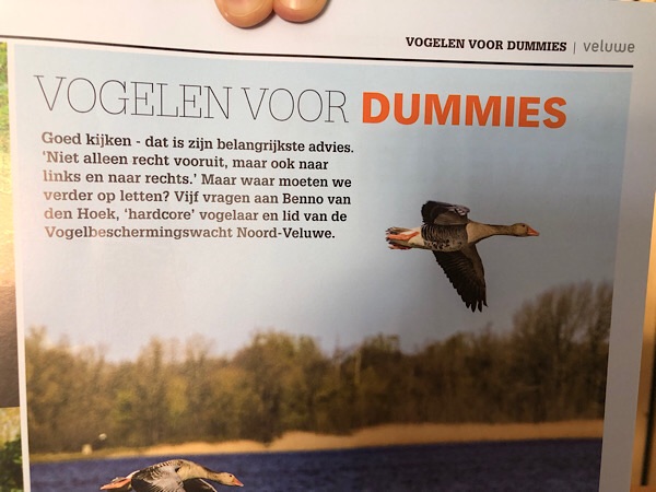 Eine niederländische Beschreibung zur Vogelbeobachtung, die auf Deutsch eine sehr eigenartige Bedeutung hat. 