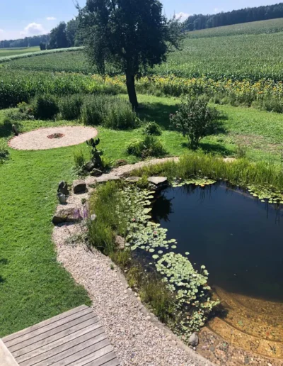 Ein kleiner Gartenteich mit Seerosenblättern ist von Steinen und Grün umgeben, in der Nähe befindet sich eine Rasenfläche mit einer kreisförmigen Kiesfläche und im Hintergrund Felder mit Feldfrüchten und Bäumen unter einem sonnigen Himmel.