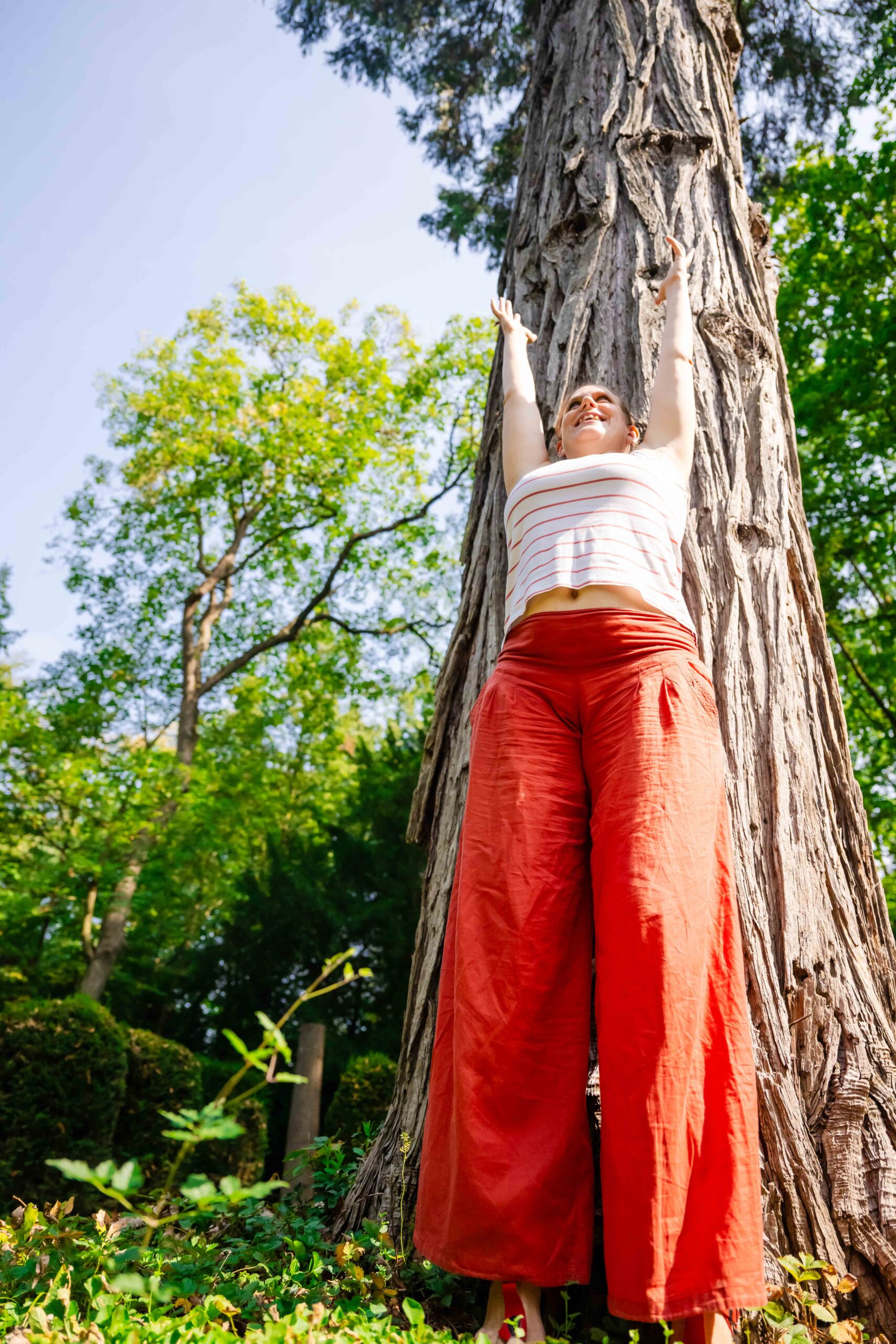 Nein-Challenge 2 Eine Person in einer orangefarbenen Hose und einem gestreiften Oberteil steht am Fuße eines großen Baumes und streckt beide Arme in die Höhe. Helles Sonnenlicht und Grünpflanzen füllen den Hintergrund. Ein Symbol für Wachstum und Größe.