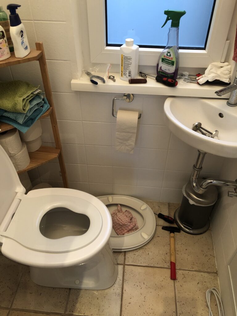 Foto von einem WC mit Kindersitz, es liegt sehr viel Werkzeug und Putzmittel herum. Es wurde der WC-Sitz ausgetauscht.