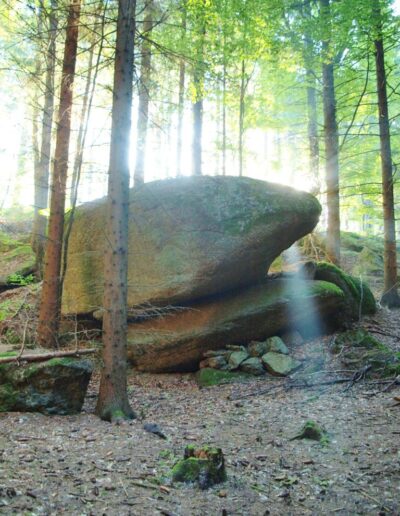 In den Wald hineinfotografiert. Im Hintergrund viel Bäume. Im Vordergrund zwei große Steine (Wackelsteine).
